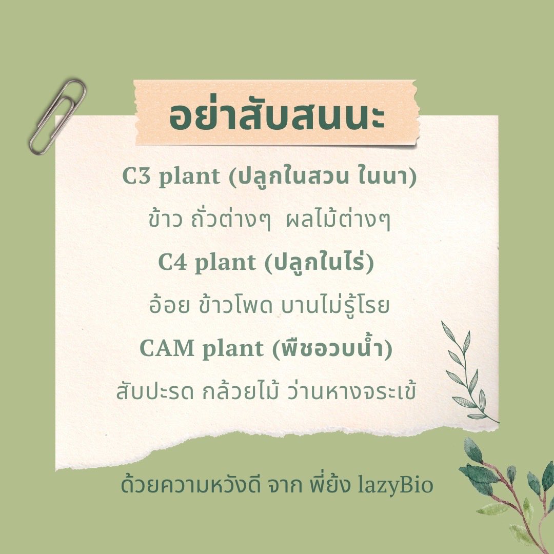 ถึงแม้ว่าบทสังเคราะห์แสงจะออกยาก แต่จุดที่พลาดบ่อยๆคือ เรามักจะจำไม่ได้ว่าสมาชิกของ C3 C4 CAM plant มีตัวอะไรบ้าง พี่สรุป KEYWORD และตัวอย่างที่ออกบ่อยๆให้แล้ว

#dek69 #dek70 #tcas69 #tcas70