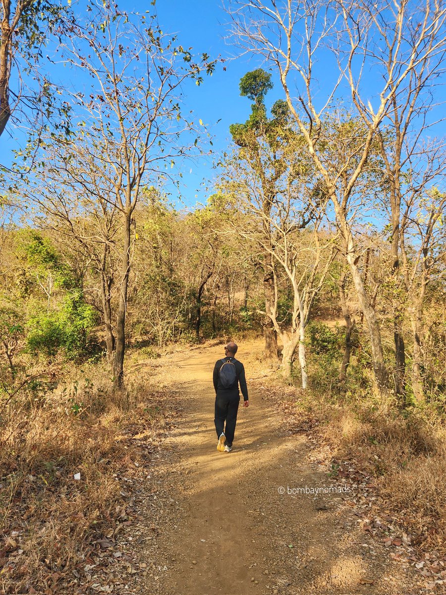 Bombay Nomads tweet media