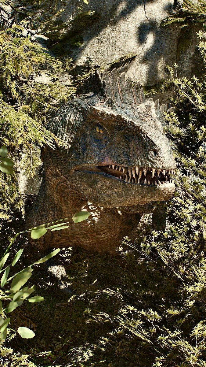 📸－FIRST－📸 tweet media