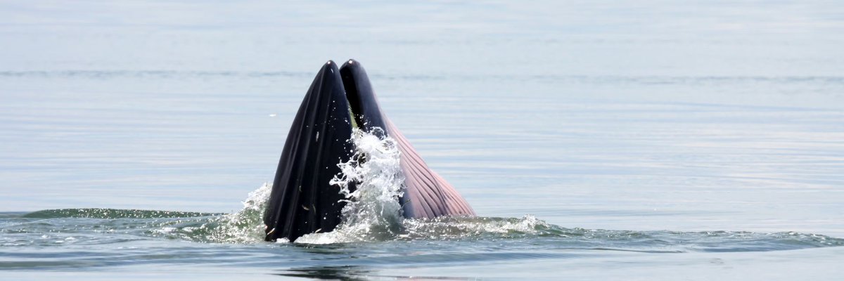 Medio Ambiente UPV tweet media