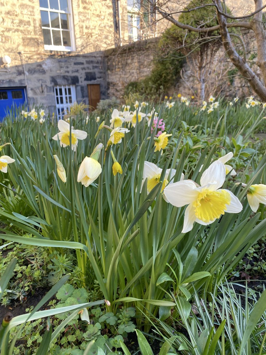 Edinburgh’s Disgraces tweet media