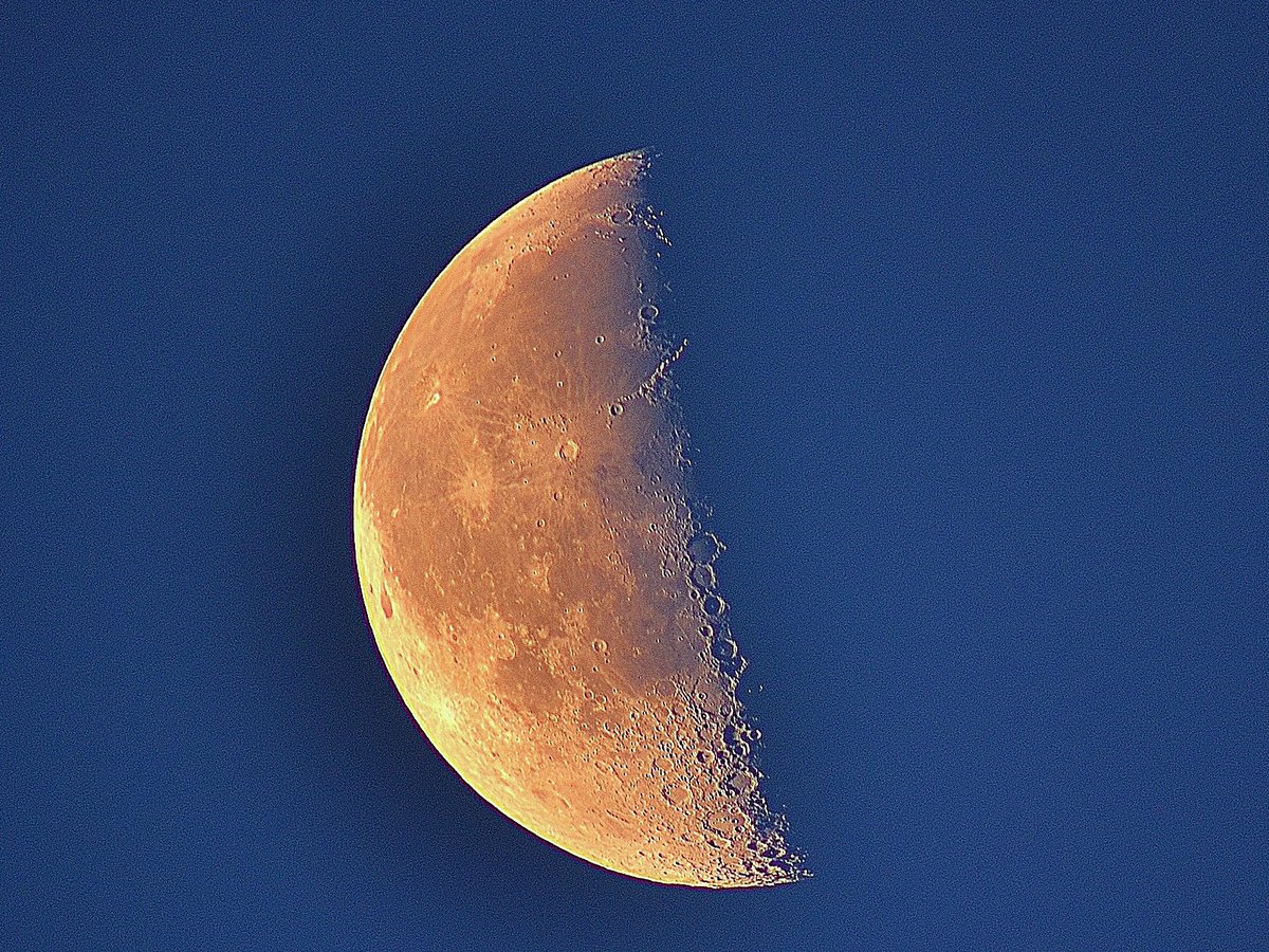 jazzykeiko's tweet photo. #HalfMoon Reminder! 11/3/2026 JST 18:39 (GMT 09:39) in Sagittarius. 
🌗🌏️🗾🙏🦊 #astrology #LastQuarter #earthquake 射手座の #半月 #下弦 #地震 注意。🙏🙏🙏 https://t.co/1unPLrjrXQ