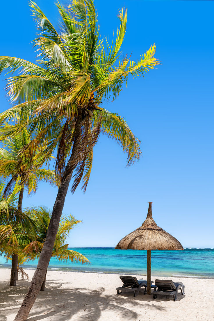 Mauritius Island tweet media