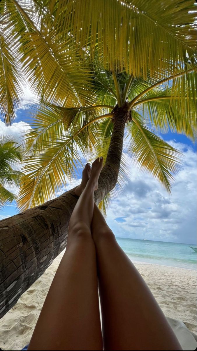 Mauritius Island tweet media