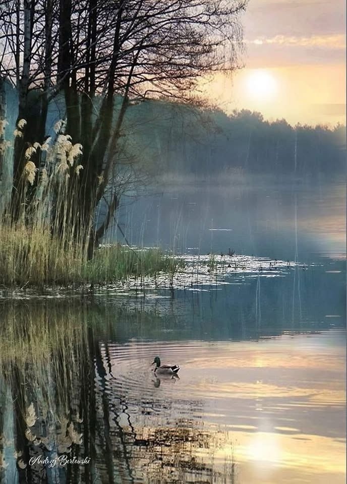 MERCHE MALDONADO tweet media