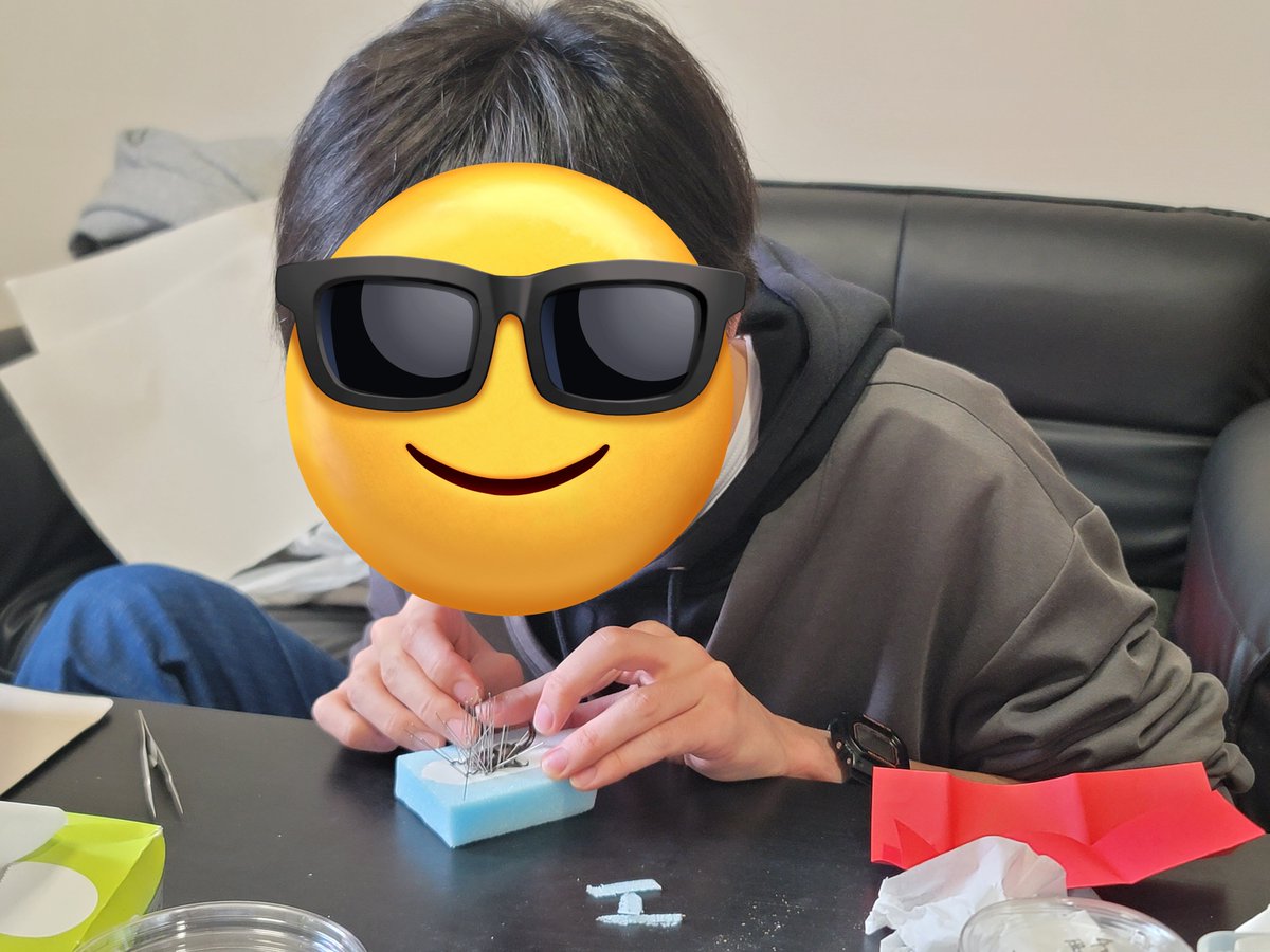 tohokuinsect's tweet photo. 東北大学に合格された皆様、おめでとうございます🎉🎉

東北大学昆虫研究会では昆虫採集や標本作成、標本展示会を行っています🐝🐜🪲本日も部室でチョウの標本作成会を行いました🦋

ガチ勢も初心者も大歓迎‼️ぜひ一緒に昆虫と触れ合いましょう✨🐞✨
 #春から東北大  #春からc6 https://t.co/qOMwGh4wUH