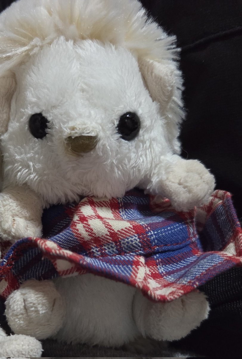 なつみだよ～♥️きょうおそとちゃむい
すこしだけこおりみたいなあめふってたけどおひるにはやんだ！みんなかぜひかないようにね🦔なつみ