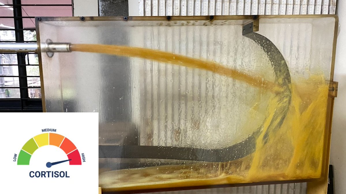 IMS FTUI 2026 tweet media