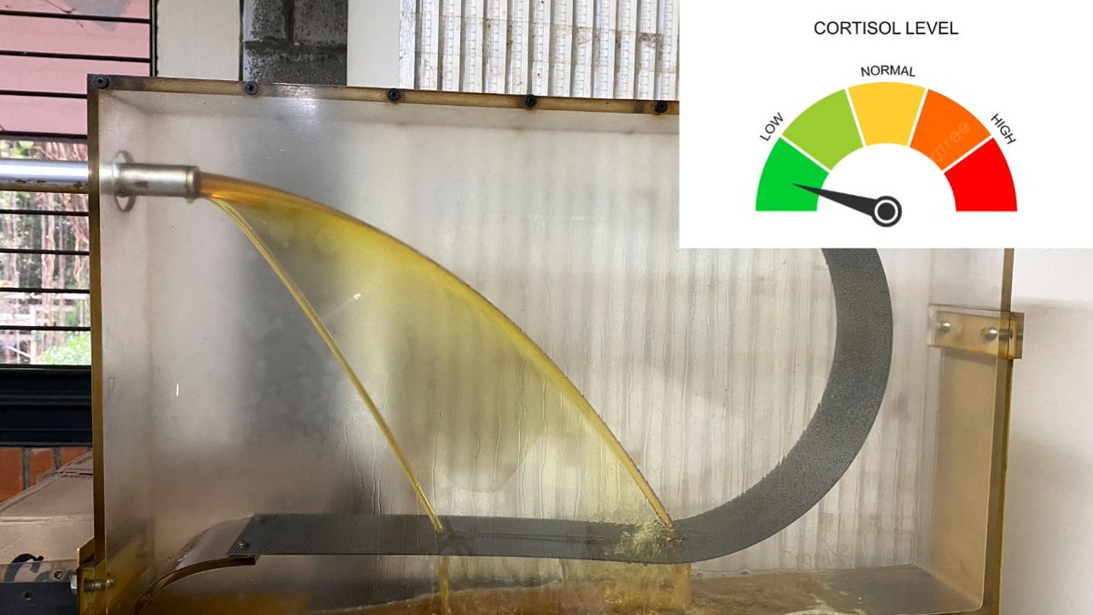 IMS FTUI 2026 tweet media