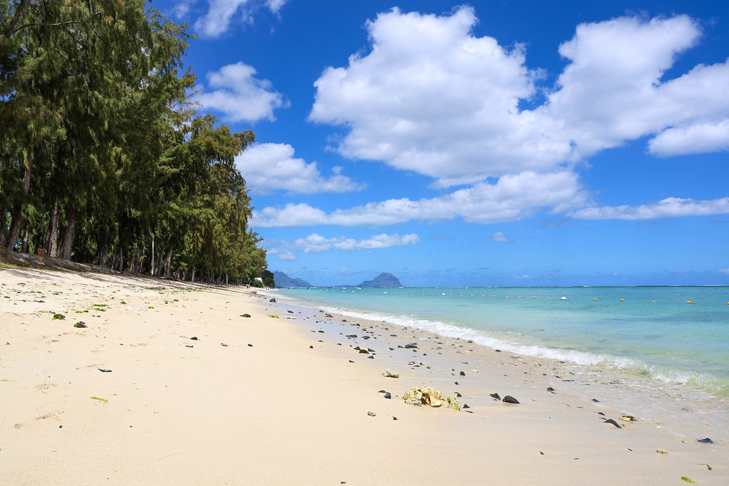 Mauritius Island tweet media