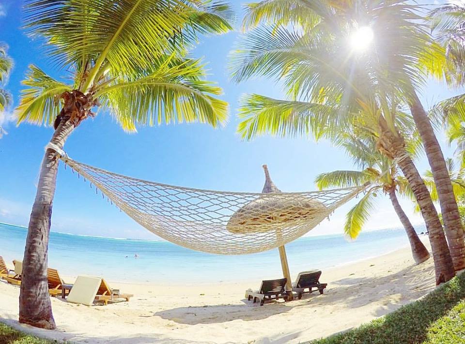 Mauritius Island tweet media