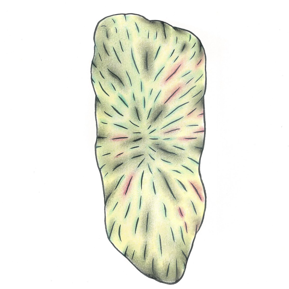 誇張した似顔絵やさん tweet media