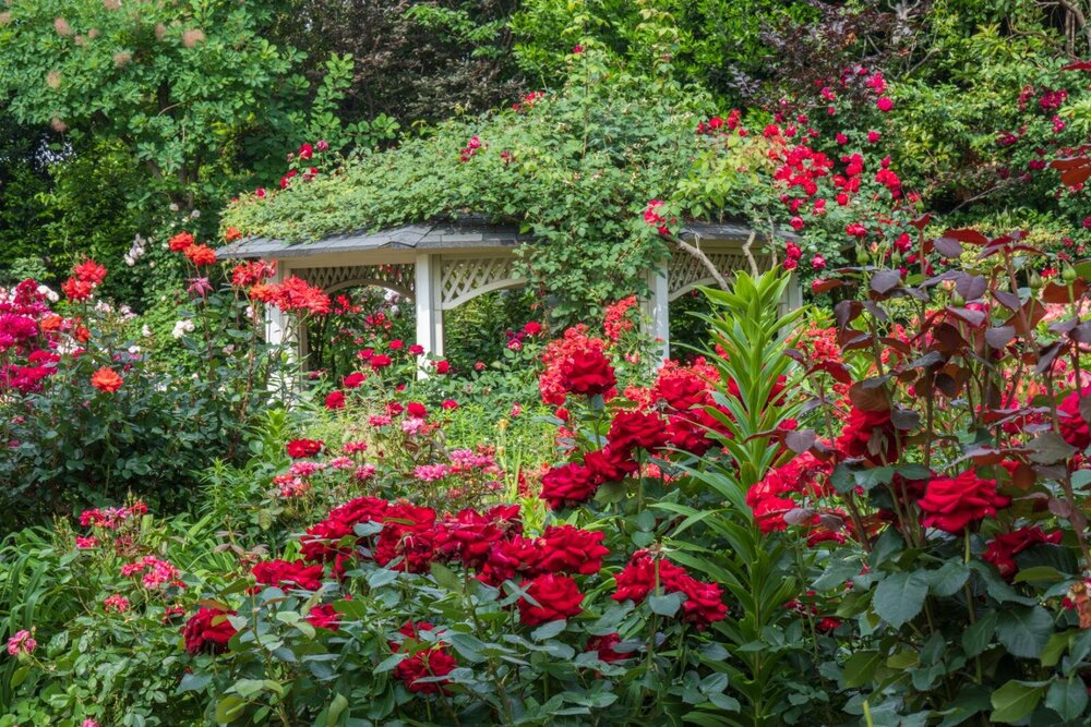 Fashion Press tweet media