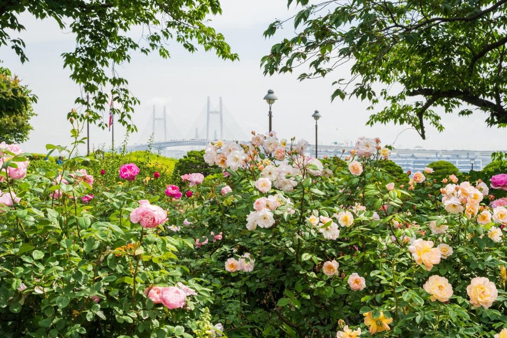 Fashion Press tweet media