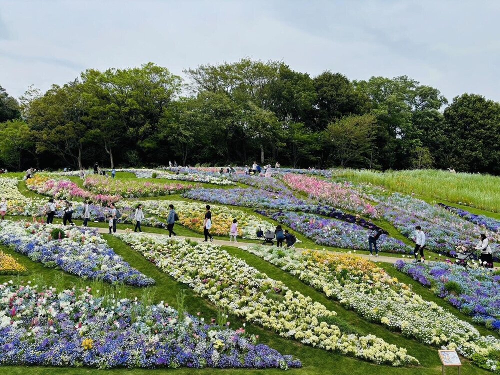 Fashion Press tweet media