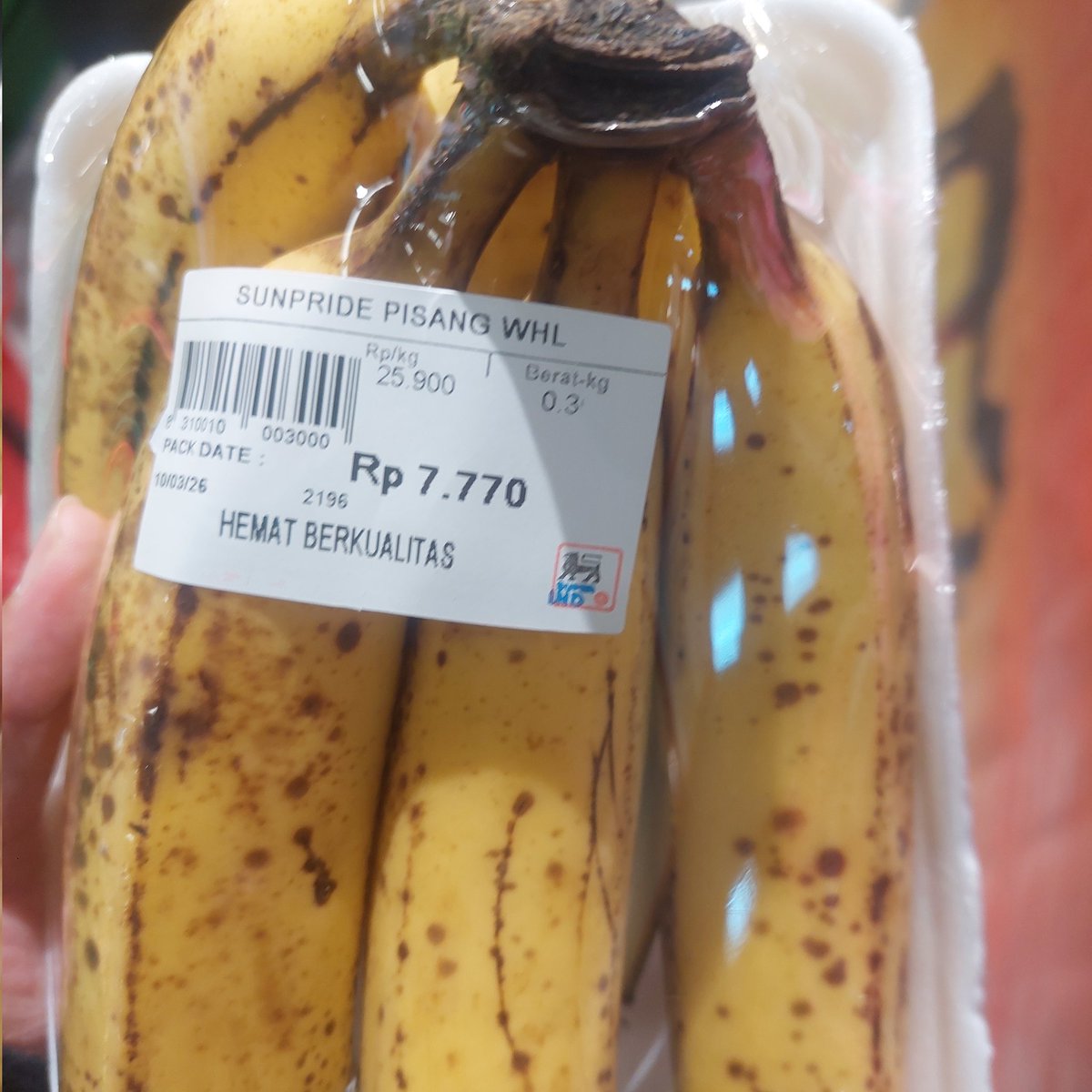 Aru 🐡 tweet media