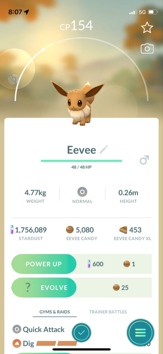 JohnPatrick_101's tweet image. #Eevee #NormalTypePokemon #PokemonGoAustralia #PokemonGo #CombatPower #EeveeCP154 #PokemonGoApp #Pokemon @PokemonGoNews #EvolutionPokemon