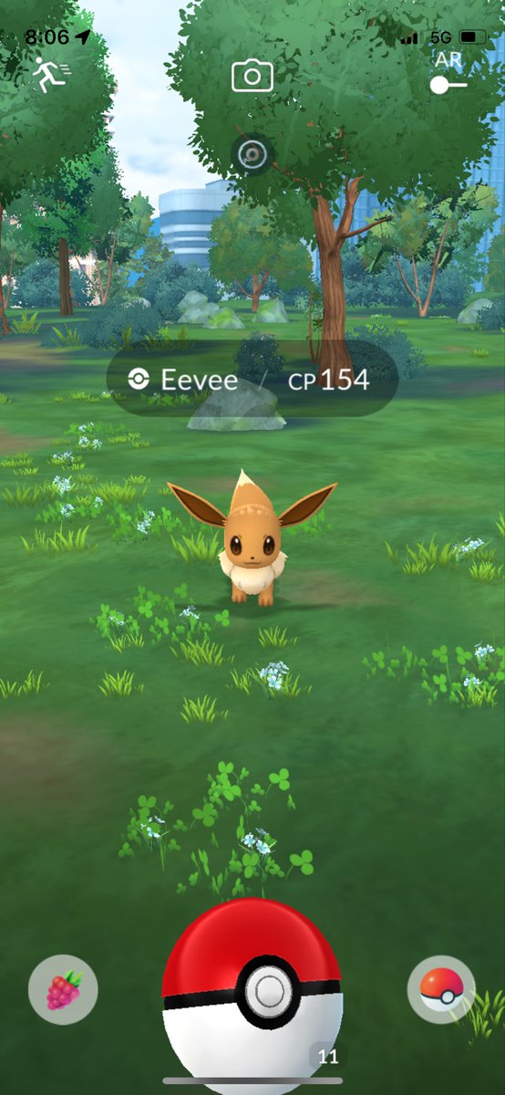 JohnPatrick_101's tweet image. #Eevee #NormalTypePokemon #PokemonGoAustralia #PokemonGo #CombatPower #EeveeCP154 #PokemonGoApp #Pokemon @PokemonGoNews #EvolutionPokemon