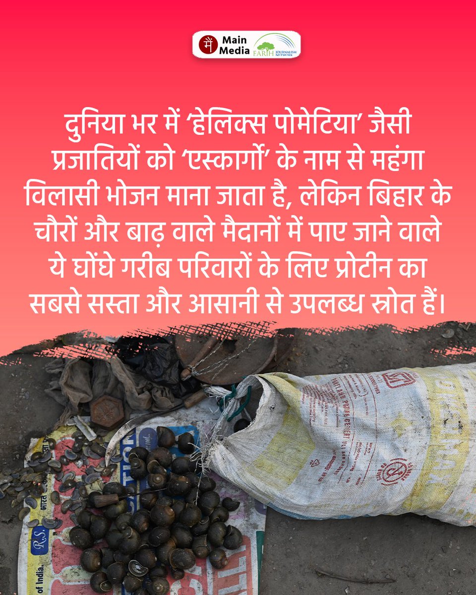 Main Media / मैं मीडिया tweet media