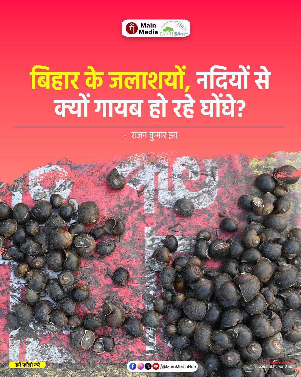 Main Media / मैं मीडिया tweet media