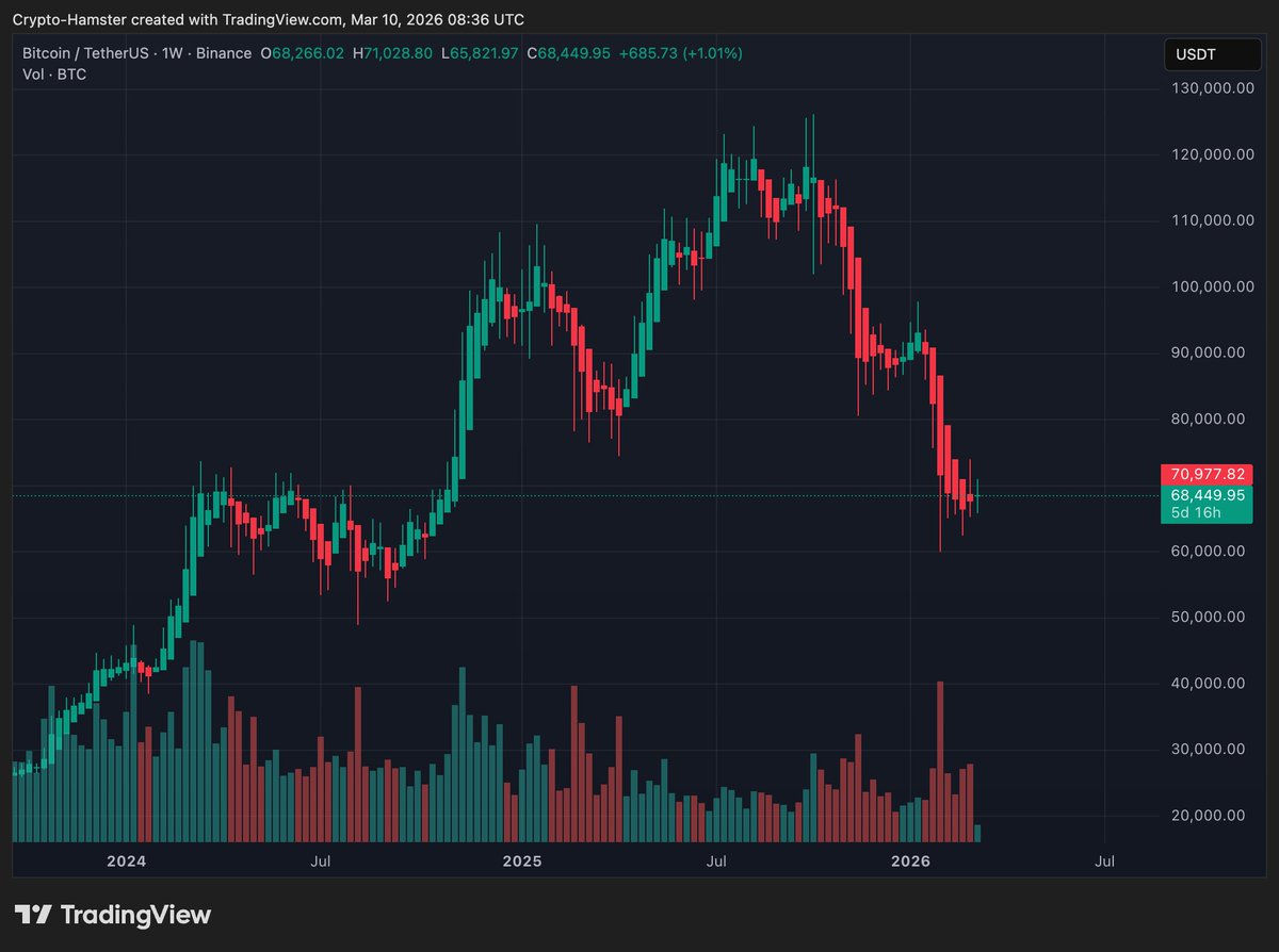 CryptoHamster tweet media