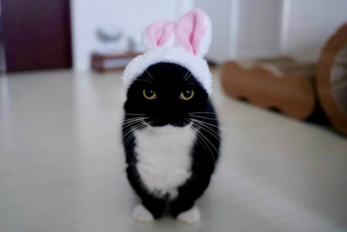 🔞🎄~OscarPro53~🎄🔞 tweet media