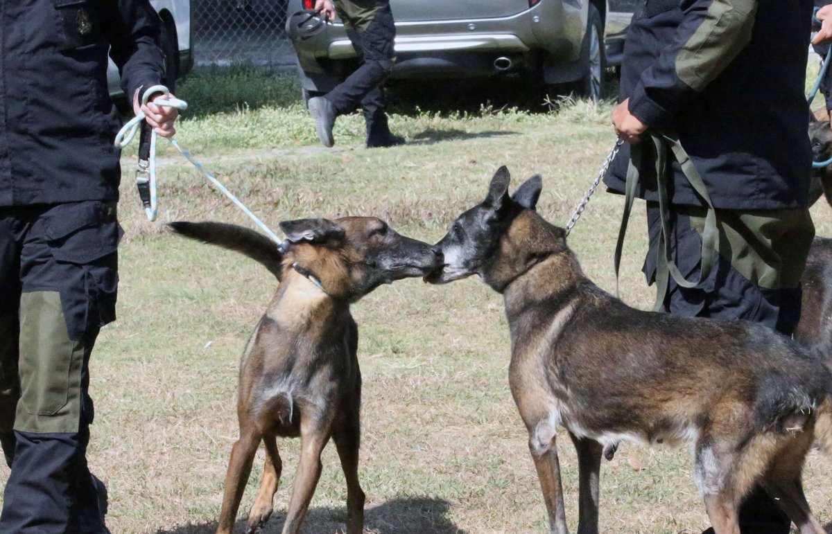 Philstar.com tweet media