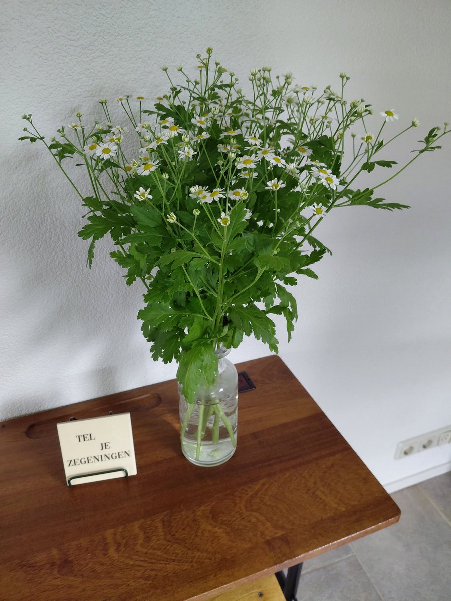 Kees van Egmond 🌼 tweet media