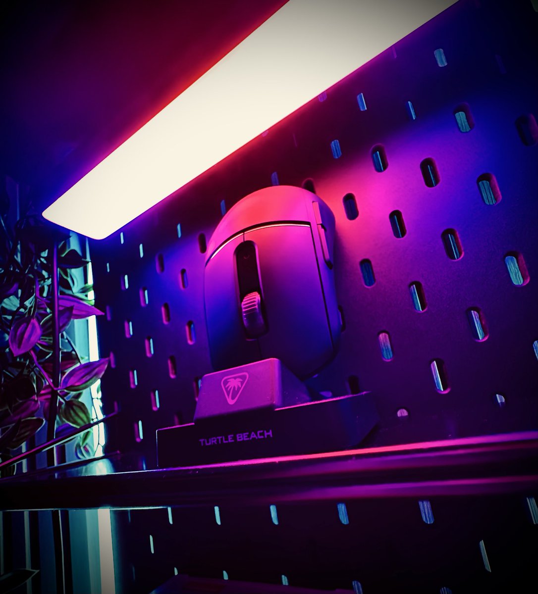 Back live 10am locking in that <a href="/DeltaForce_Game/">Delta Force Game</a> hoping today’s the day we get the 3x3 skin I just need 2 more gold items 😭