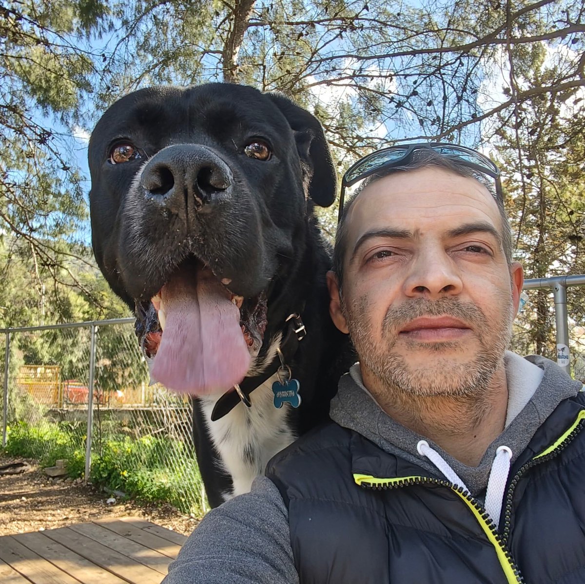 BSpyropoylos's tweet photo. @kos_rocks Και το δικό μου 😁 https://t.co/Yco6JvStCb