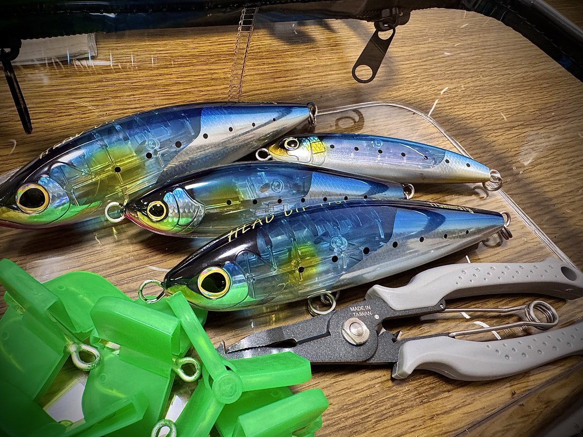 ゆー🎣YUUU FISHING tweet media