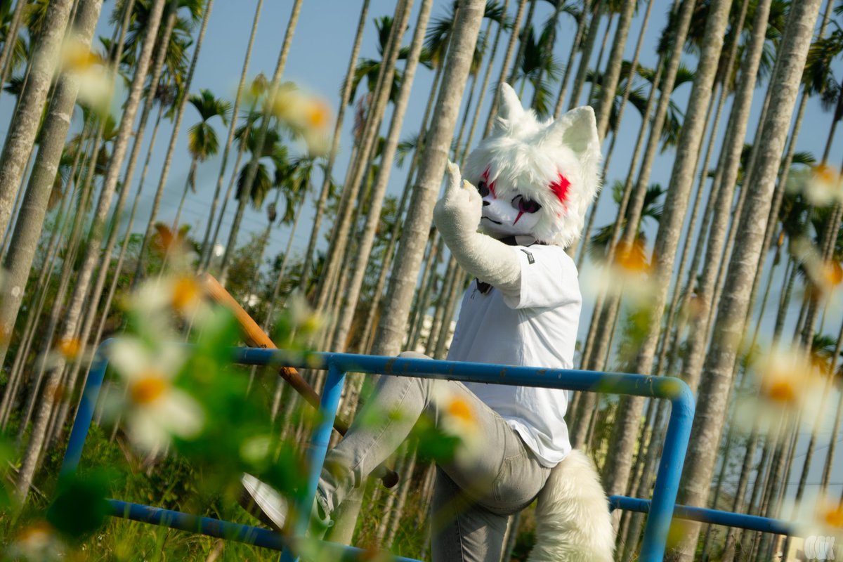 Fuk you Monday!!!
#fursuit #fursuiteveryday 
📸 : <a href="/Oak115202/">Oak_intheworld</a>