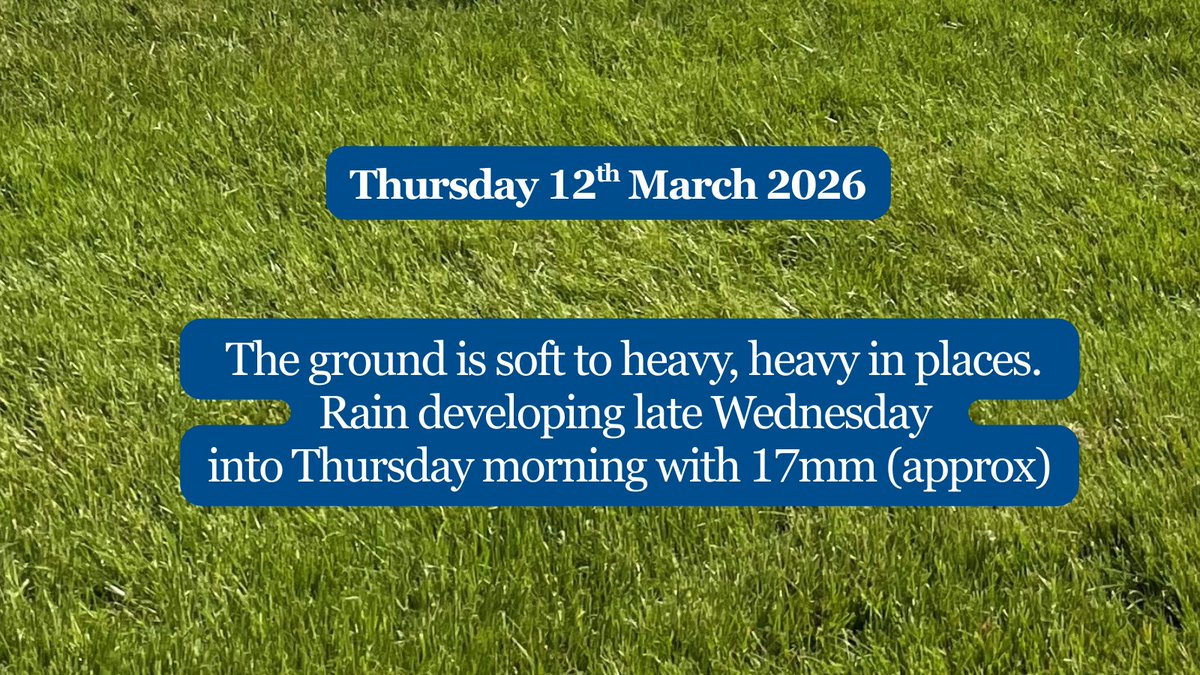 Limerick Races tweet media