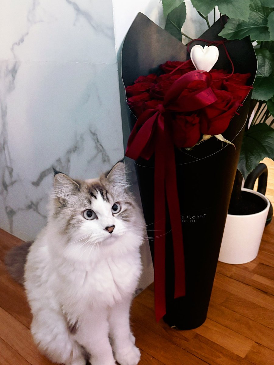 Chloettw tweet media