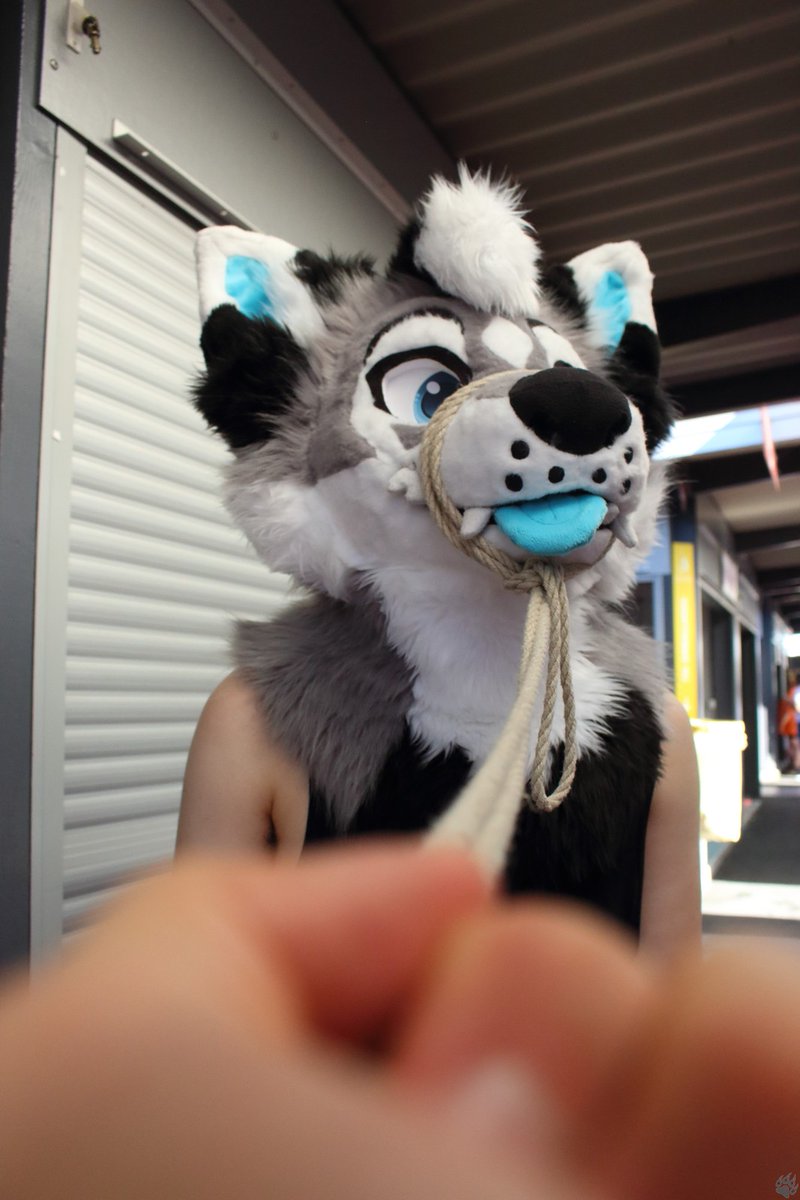 🌿 Yellow Dog Craft 🌿 tweet media