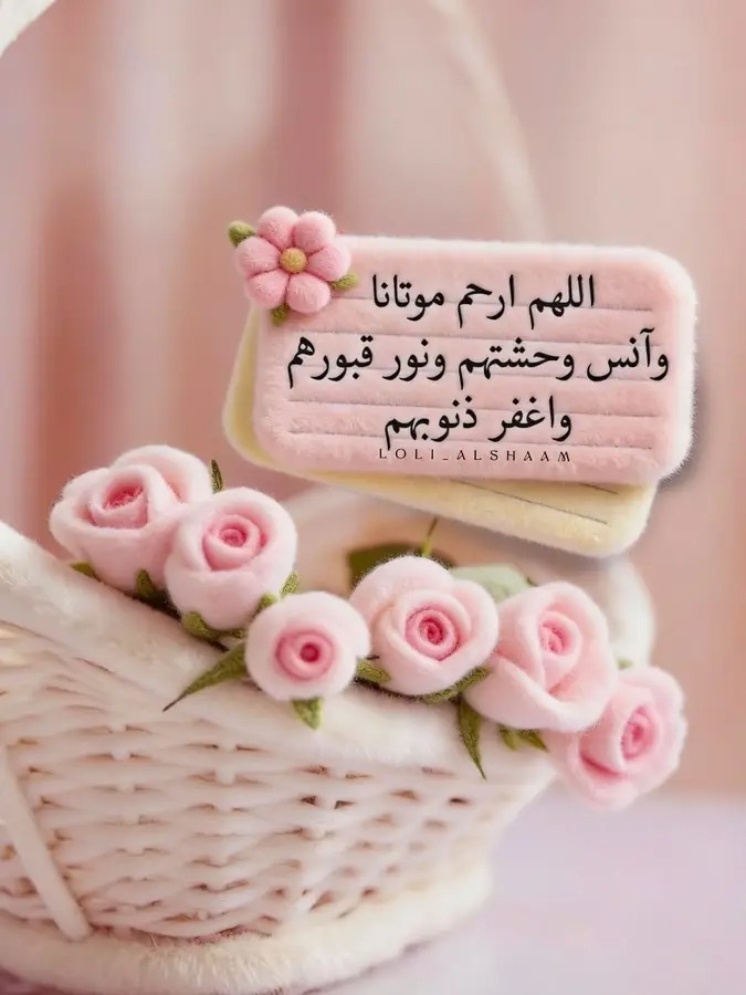 ؏ليے الخيالـيے tweet media