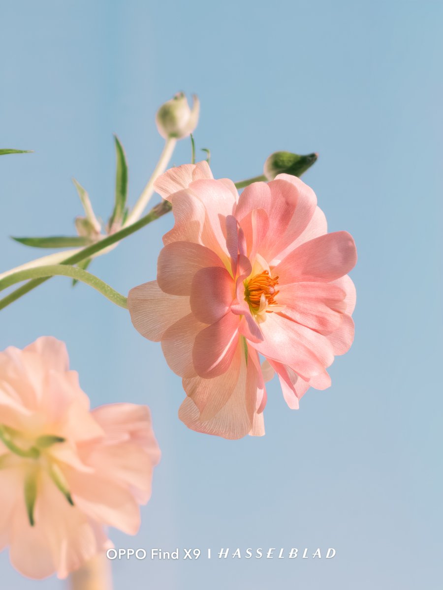 OPPO Japan tweet media