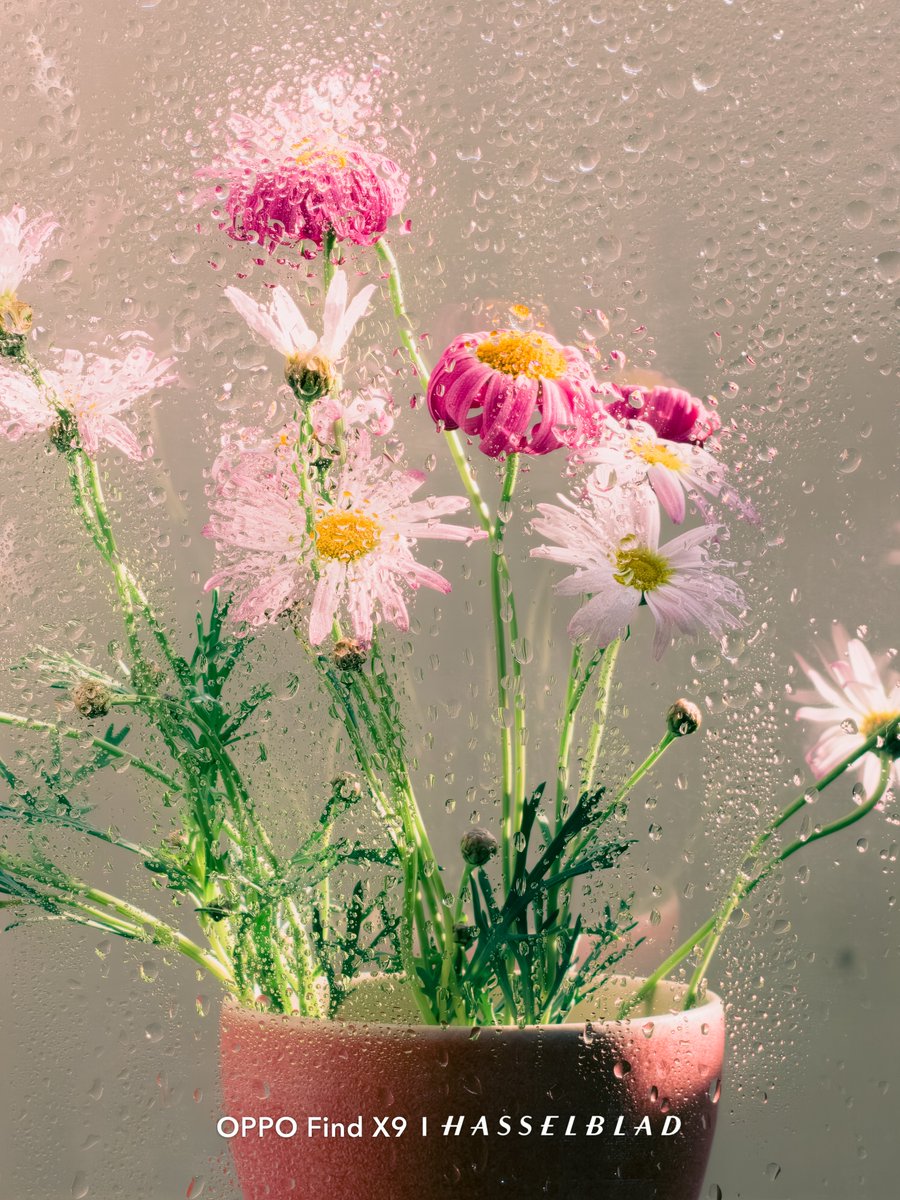 OPPO Japan tweet media