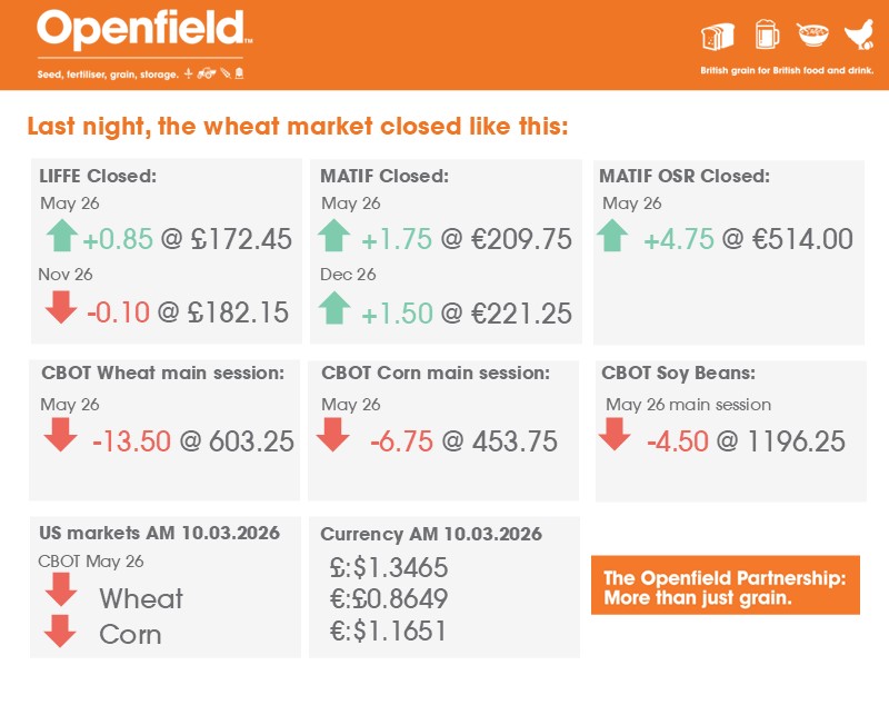 Openfield: More than just grain. tweet media
