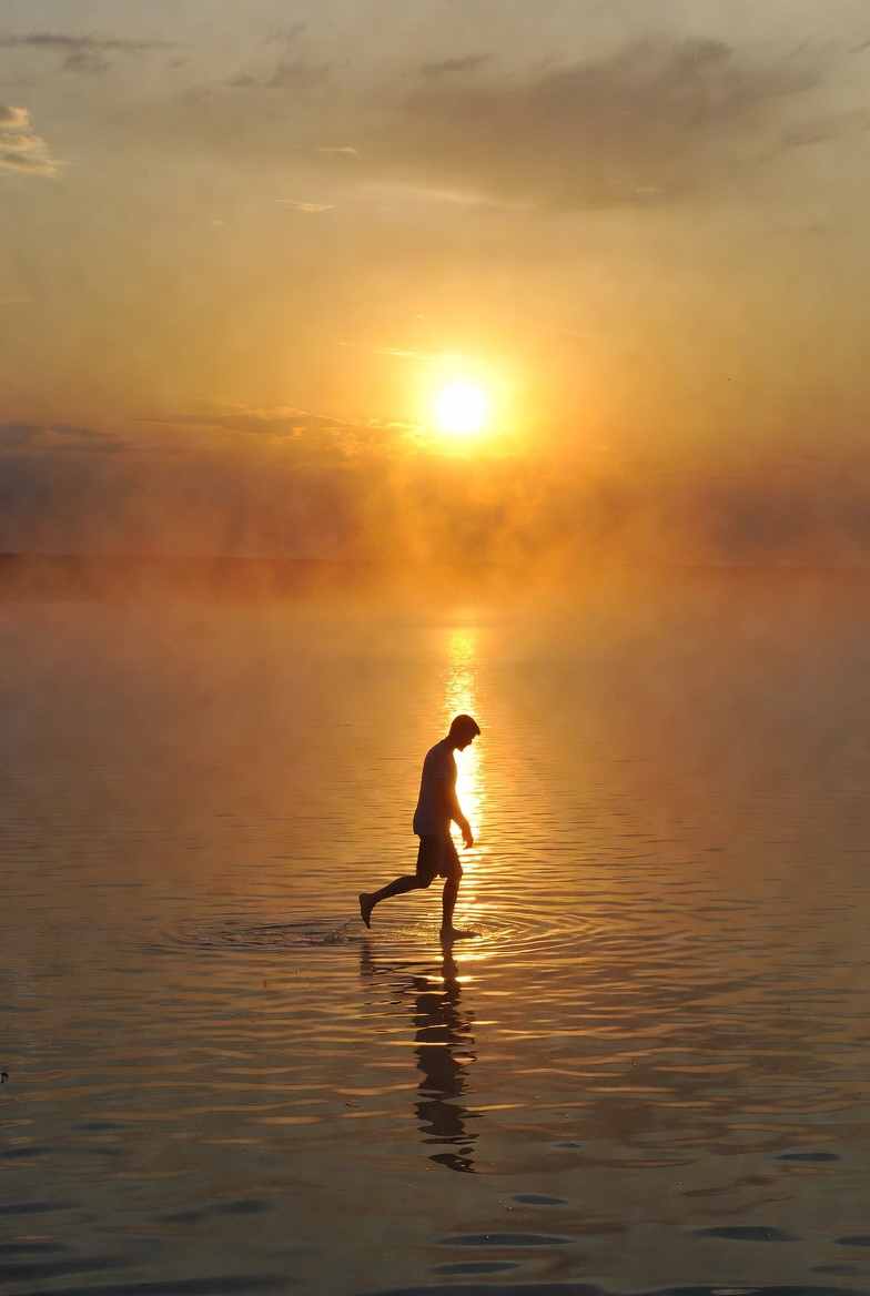 TheMomenton tweet media