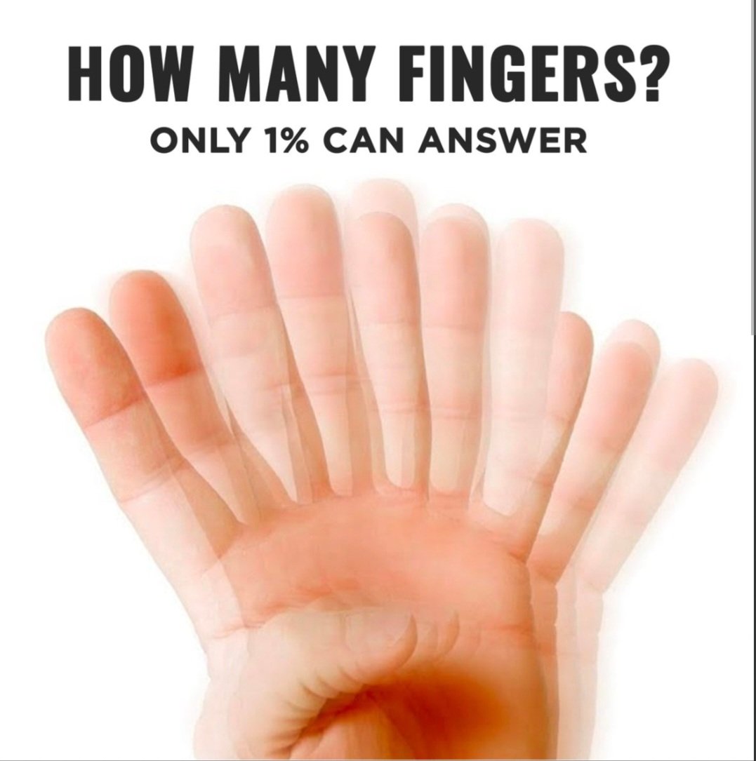 TraderbyZ tweet media