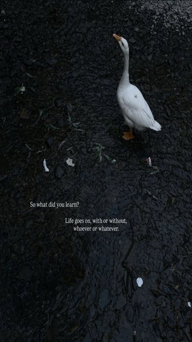 Matiullah Mati (@matiullahmati24) on Twitter photo 