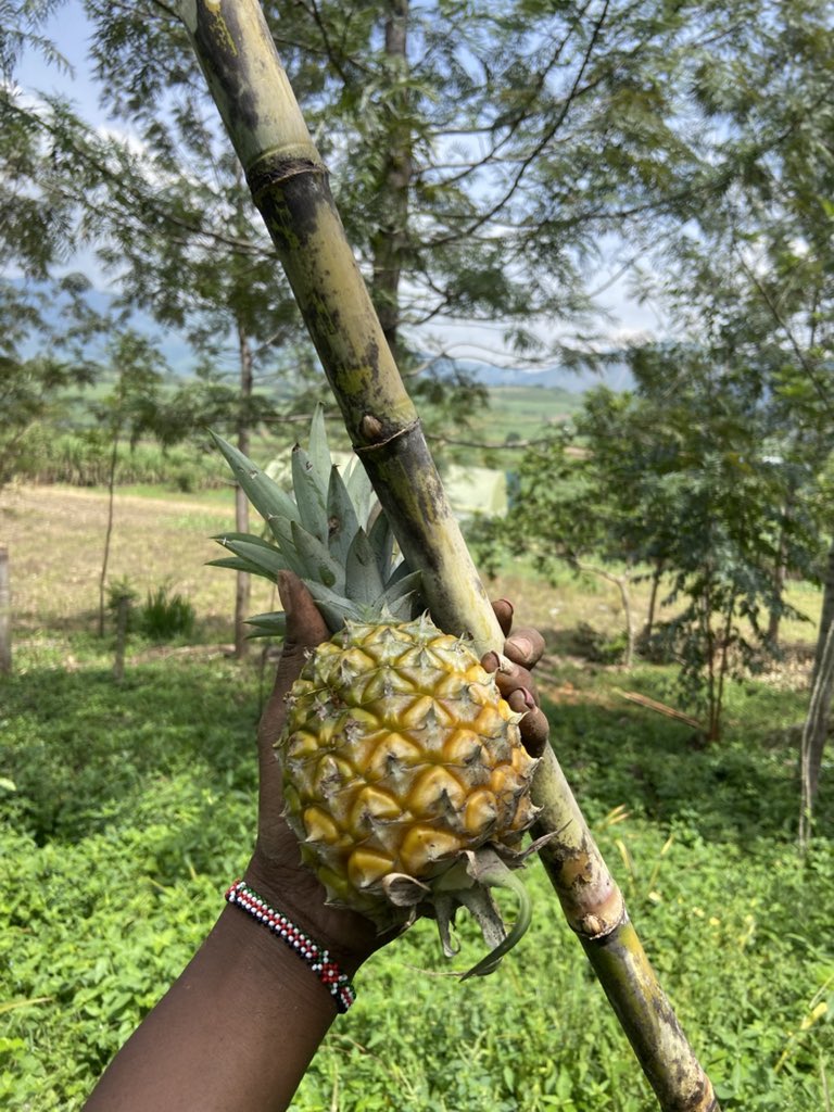 Sharon Cherobon tweet media