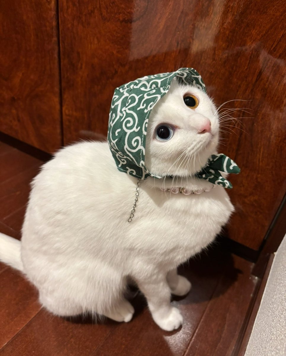 キムチ母‼️ tweet media