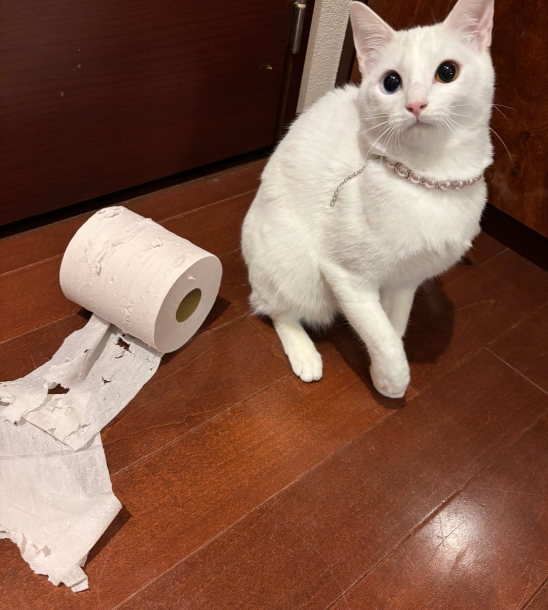 キムチ母‼️ tweet media