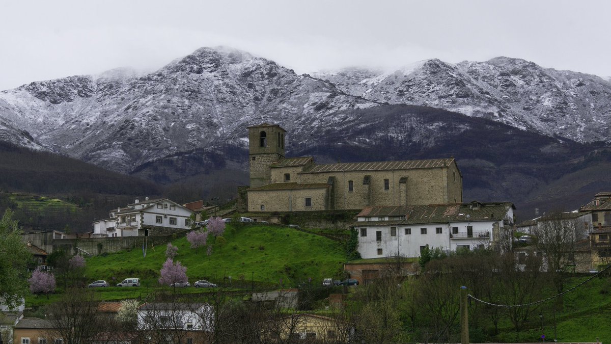 Javier Lumeras tweet media