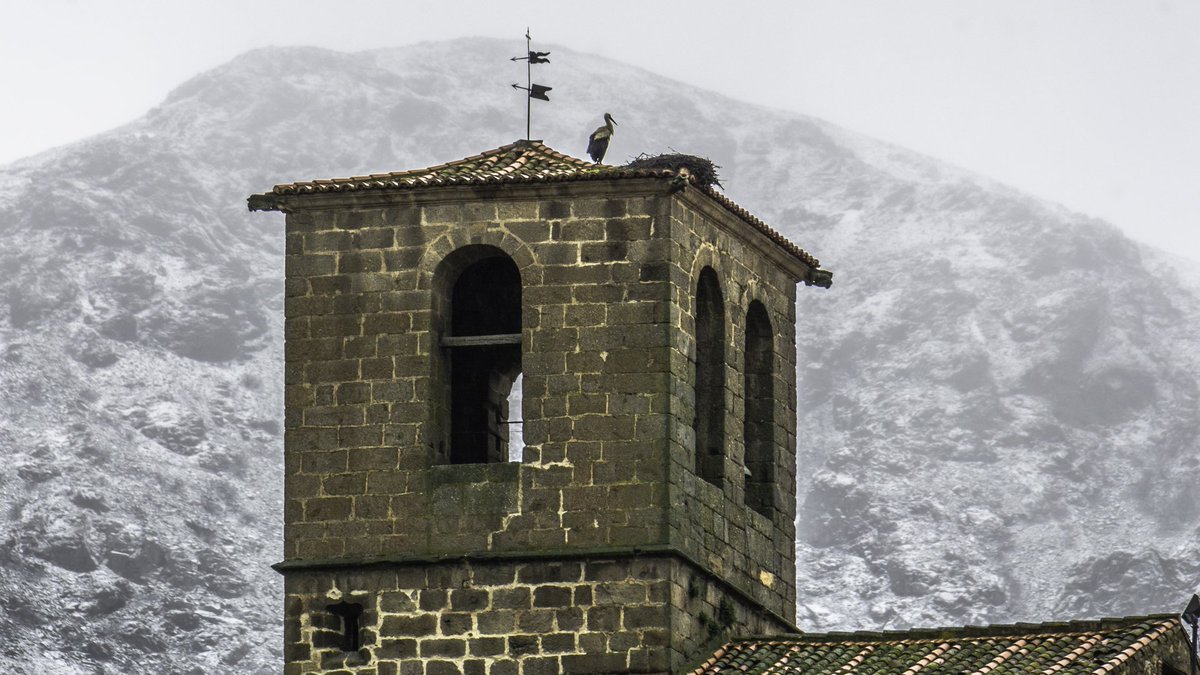 Javier Lumeras tweet media