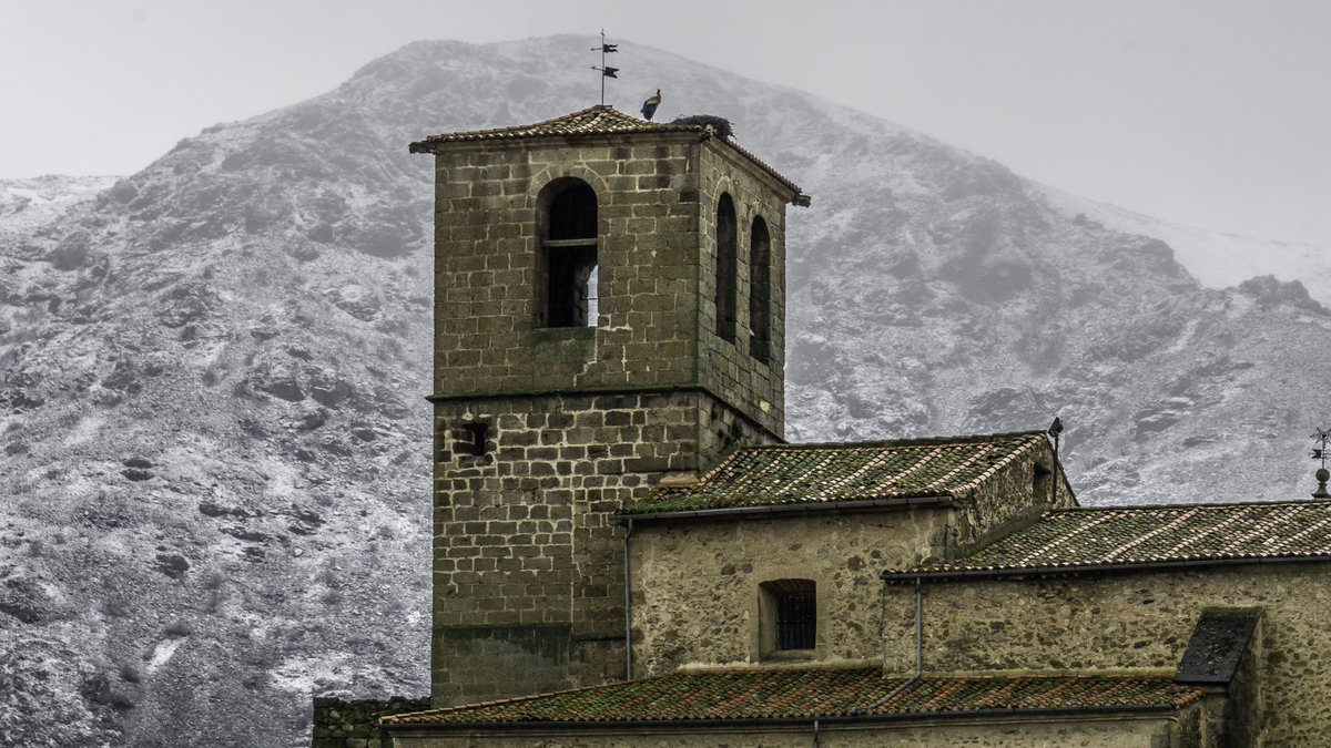 Javier Lumeras tweet media