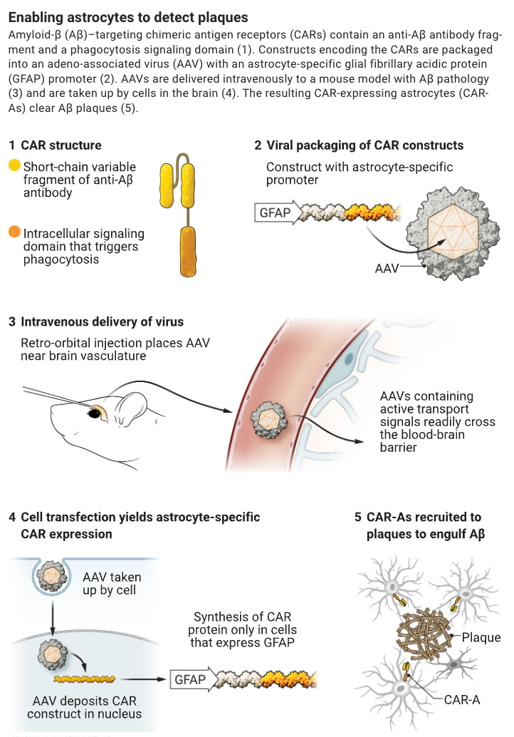 Science Magazine tweet media