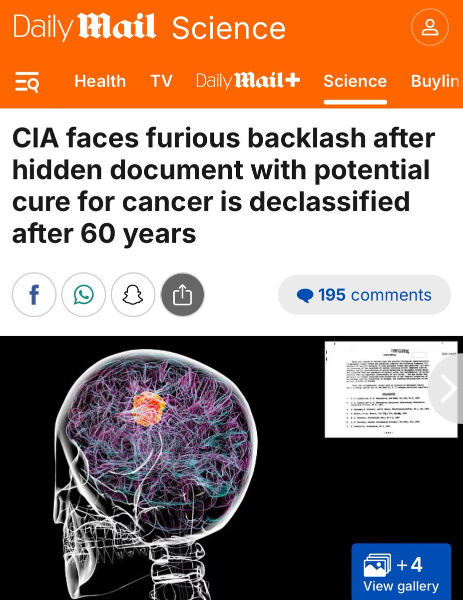 henning rosenbusch tweet media